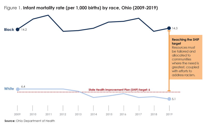 FactSheet_IMRacialDisparities_Figure1