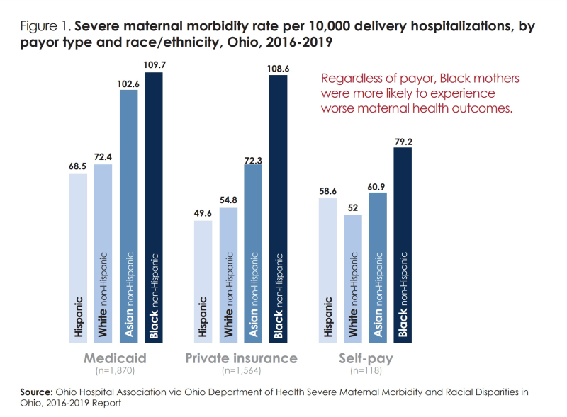MaternalMortality_Morbidity_Fig1
