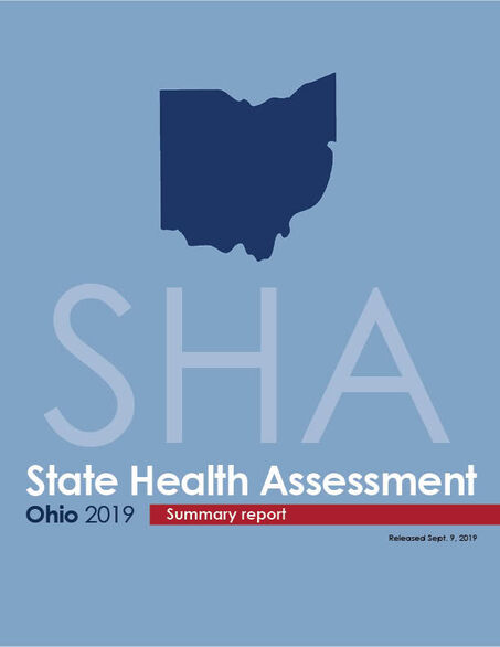 2019 State Health Assessment summary report