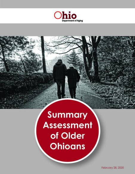 Summary Assessment of Older Ohioans